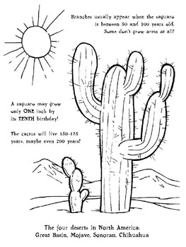 Saguaro Cactus Coloring Sheet by La Paloma Teachers Pay