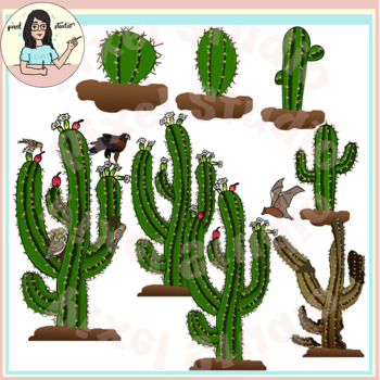 Preview of Saguaro Cactus Life Cycle Clipart