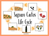 Cactus Life Cycle and Parts Printables & Activities Pack