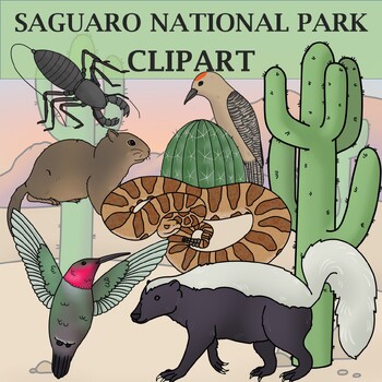 Preview of Saguaro National Park Clip Art - Plants and Animals of the National Parks