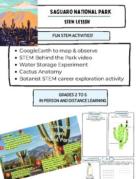 Cactus, Saguaro Cactus, Instant Download, STEM Workbook, Digital Download,  Kids Workbook, STEM -  Hong Kong