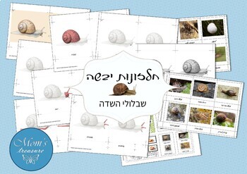Preview of Snail - Montessori Hebrew + GAMES