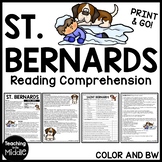 Saint Bernards Reading Comprehension Call of the Wild Dogs