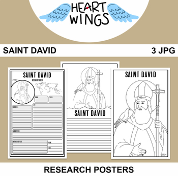 Preview of Saint David Research Posters | 3 Posters