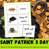 St Patrick`s Day Word to Picture Matching Activity ESL Voc