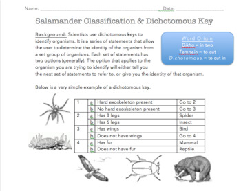 Salamander Classification & Dichotomous Key by Salamander ...