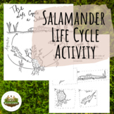 Salamander Life Cycle Activity Booklet