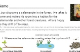 Salamander Room Comprehension Checks (Average and Low levels)