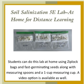 Preview of Salinization Lab-At Home for Distance Learning. AP Environmental Science
