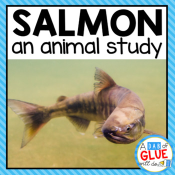 Preview of Salmon: An Animal Study