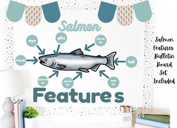 Preview of Salmon Features - BC Curriculum - Grade 1