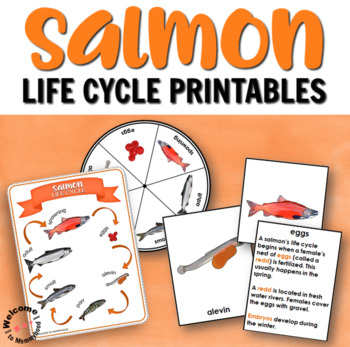 Preview of Salmon Fish Life Cycle with 3 Part Cards, Spinner, Poster & Information Cards!
