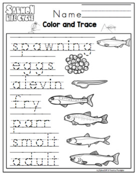 Salmon Life Cycle Math and Literature by Preschool Printable | TpT