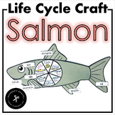Salmon Life Cycle Craft