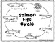 Salmon Life Cycle Craft by Crafty Bee Creations | TpT