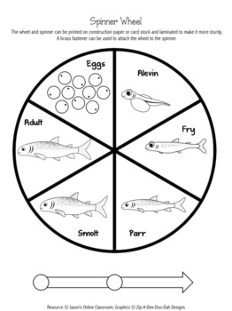 Salmon Life Cycle Graphing Activity by Jason's Online Classroom | TpT