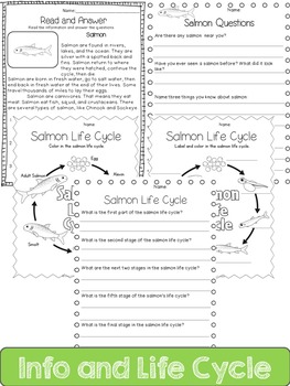 Salmon Life Cycle: Mini Unit by Journey of a Substitute Teacher | TpT