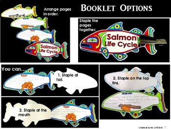 Salmon Life Cycle :: Salmon Craft :: Salmon Shape Booklet by Ms Lil