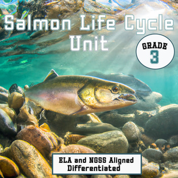 Preview of Salmon Life Cycle Unit