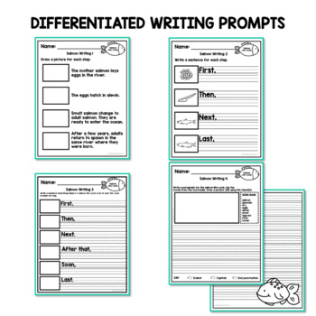 Salmon Life Cycle Worksheets Differentiated Sequencing, Writing | TPT