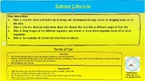 Salmon Lifecycle: Powerpoint Activity