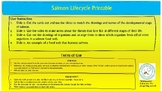 Salmon Lifecycle: Printable