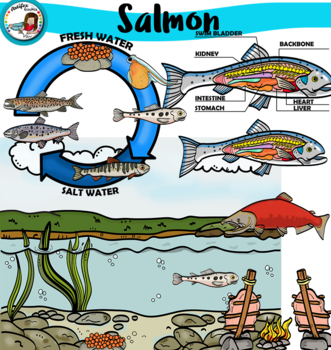 Life Cycle of a Salmon – Play Therapy with Carmen