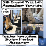 Salt Crystal Tree Lab Activity and Assessment- Editable Template