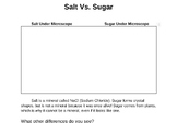 Salt Vs. Sugar Microscope Observation