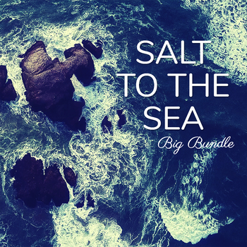 Preview of Salt to the Sea by Ruta Sepetys BIG UNIT BUNDLE