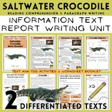 Crocodile Information Texts, Report Paragraph Writing & Re