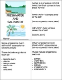 Freshwater And Saltwater Animals Worksheets & Teaching Resources | TpT