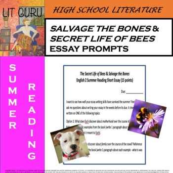 the secret life of bees essay prompts