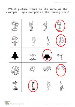 same picture missing part visual closure worksheets tpt