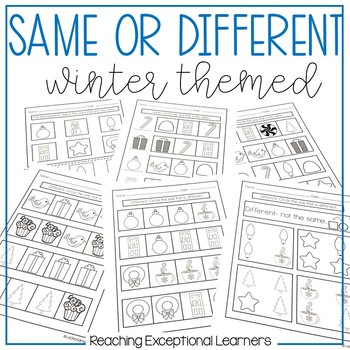 Same or Different Winter Worksheets by Reaching Exceptional Learners