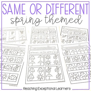 Preview of Same or Different Spring Worksheets