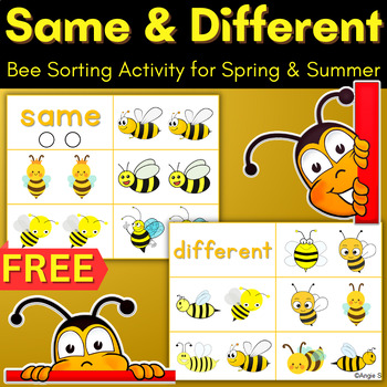 Preview of Bees Same and Different Sorting Activity Autism Spring Insects Sped FREE