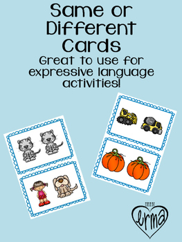 Same or Different Picture Cards by Made by Erma | TpT