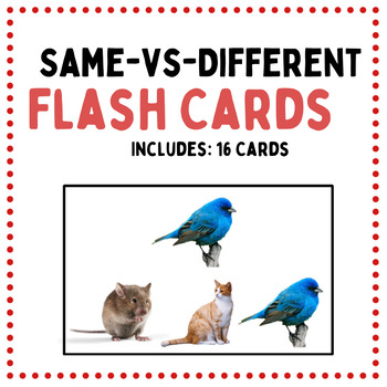 Preview of Same vs Different Flash Cards