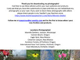 Sample - High Quality Nature Photographs - Royalty Free