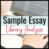 Sample Literary Analysis Essay