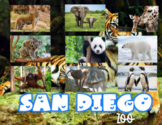 San Diego Zoo Virtual Field Trip 