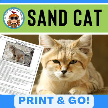 Preview of Sand Cat information page for desert animal research