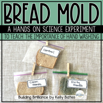 Bread Mold Experiment