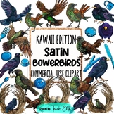 Satin Bower Bird Clipart, Kawaii Images Commercial Use Nat