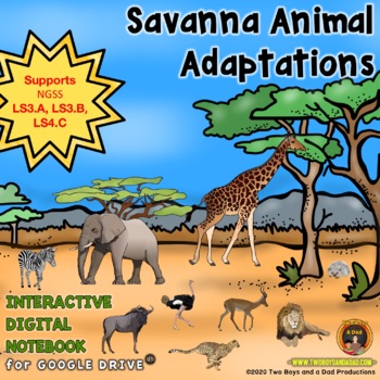 Savanna Animal Adaptations Interactive Notebook Google Slides® | TPT