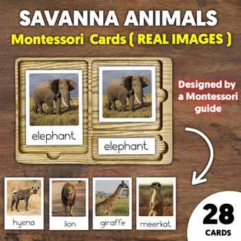 Preview of Savanna Animals | Montessori 3-Parts Cards | Montessori Animal Flashcards
