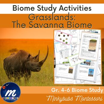 Preview of Savanna Biome Grasslands Tropical Fast Facts Marine Biome Unit Study