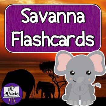 Preview of Savanna Flashcards