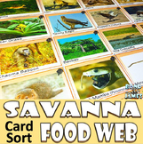 Food Chain and Food Web: Savanna Card Sort